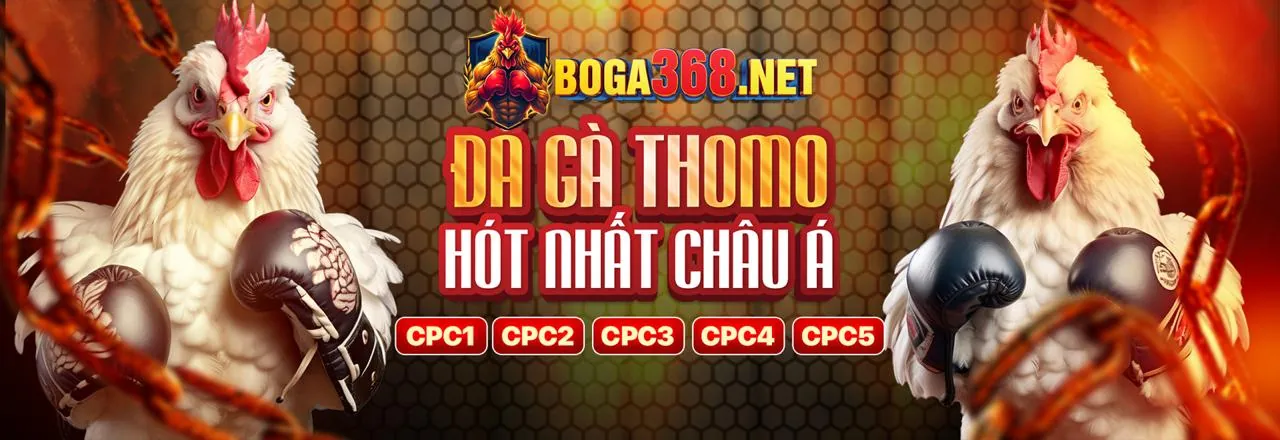 Đá gà trực tuyến tại F8BET